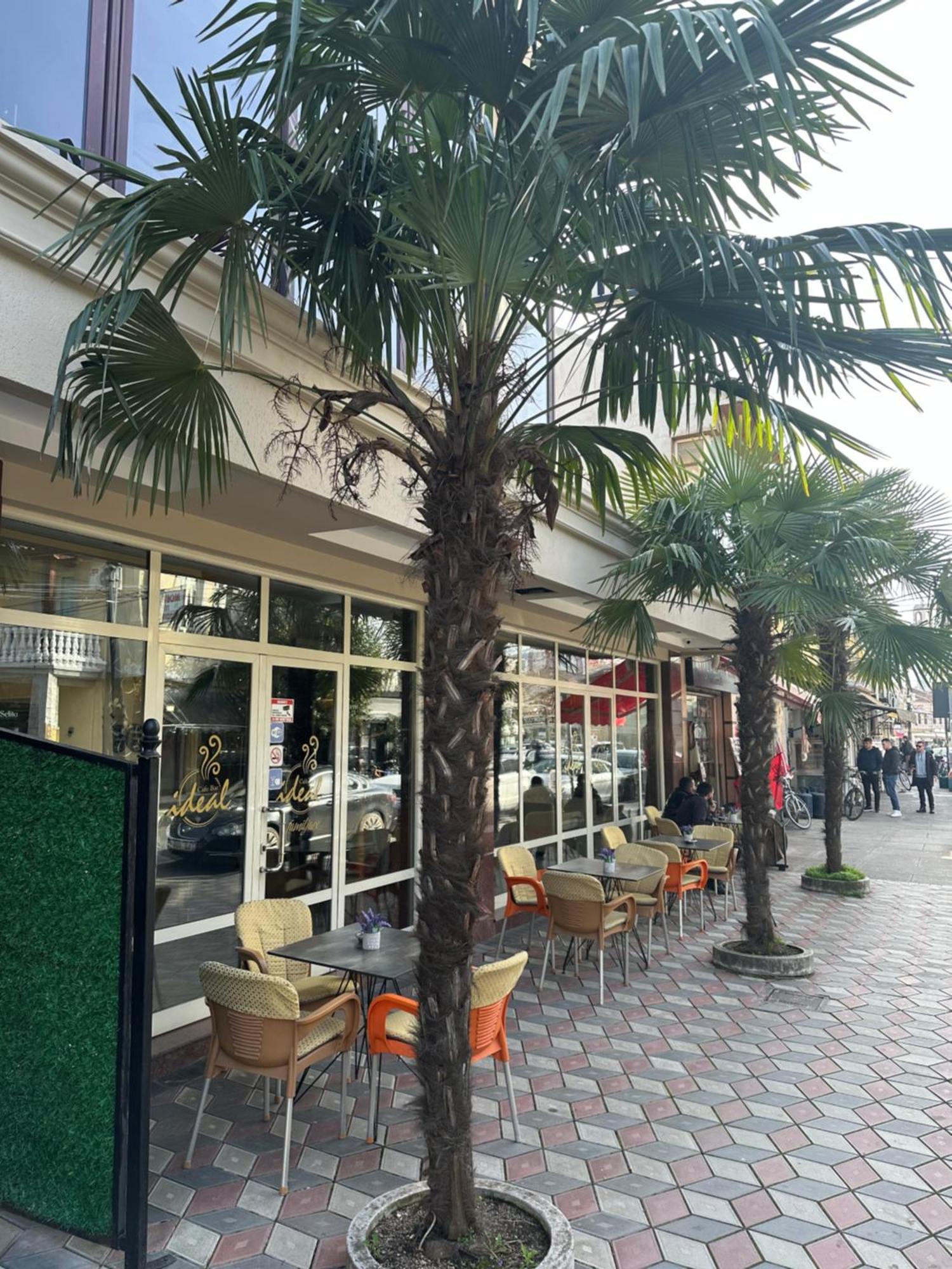 Ideal Hotel Shkodër
